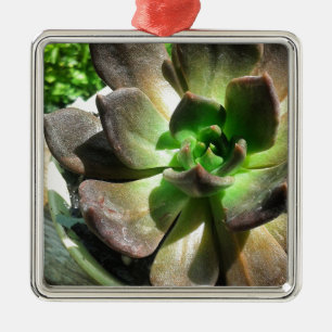 Black Prince #succulent Metal Ornament