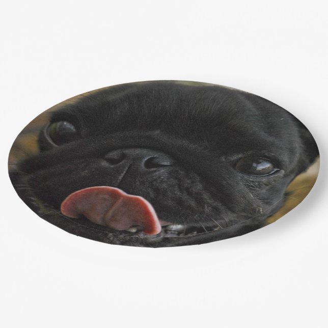 black pucking paper plate (Angled)