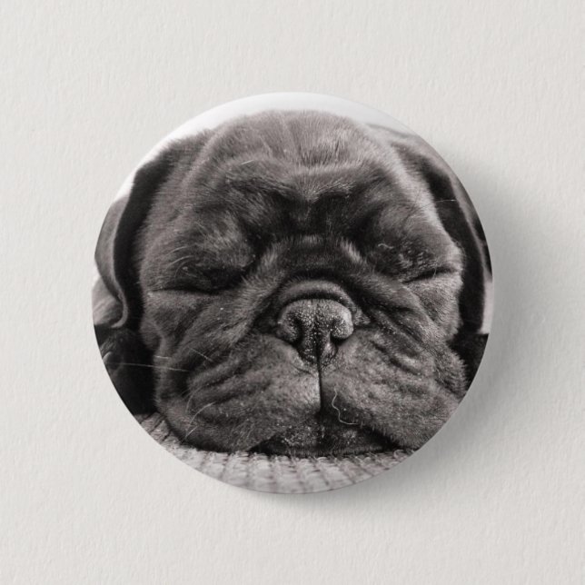Black pug 2 inch round button (Front)