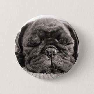 Black pug 2 inch round button