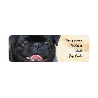 Black Pug Address Labels