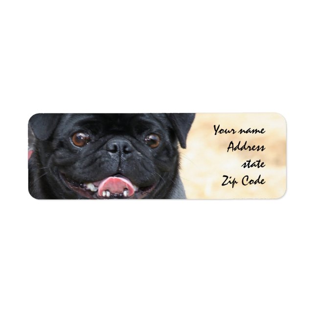 Black Pug Address Labels (Front)
