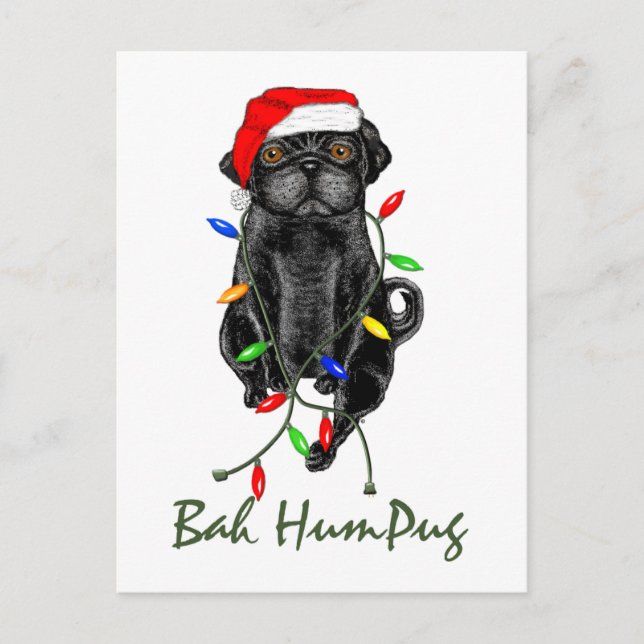 Black Pug Dog Bah Humpug Funny Christmas Postcard (Front)