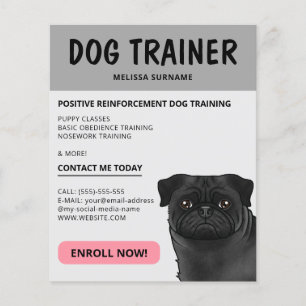 Black Pug Dog Trainer Dog Pet Service Grey Flyer