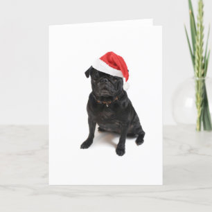 Black pug dog with red santa hat holiday card