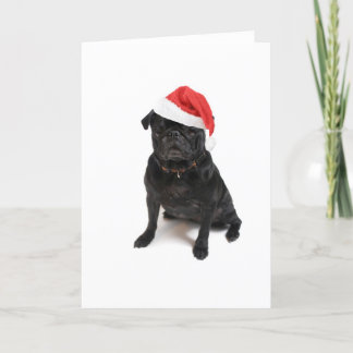 Black pug dog with red santa hat holiday card