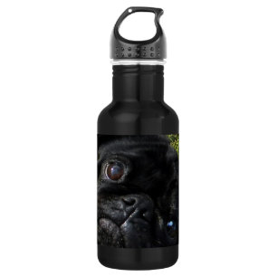 black-pug eyes 532 ml water bottle