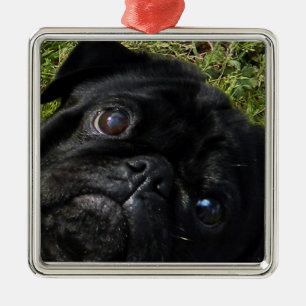 black-pug eyes metal ornament