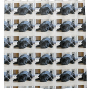 black pug flat
