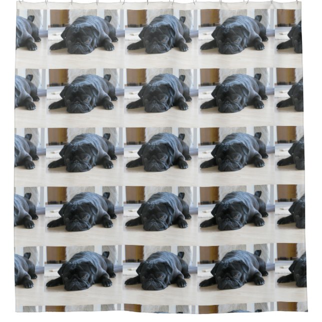 black pug flat (Front)