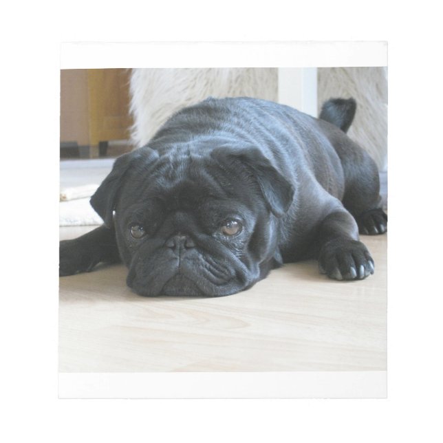 black pug flat notepad (Front)