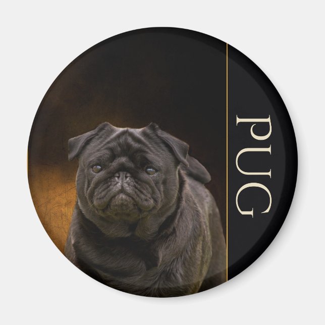 Black Pug Fridge Magnet (Front)