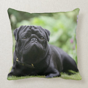 Black Pug Laying Down Throw Pillow
