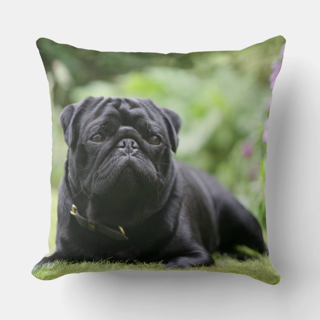 Black Pug Laying Down Throw Pillow (Front)
