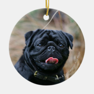 Black Pug Panting While Looking at Camera Ceramic Ornament