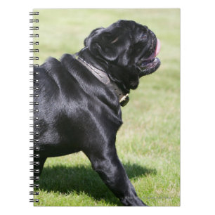Black Pug Panting While Walking Notebook