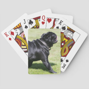 Black Pug Panting While Walking Playing Cards