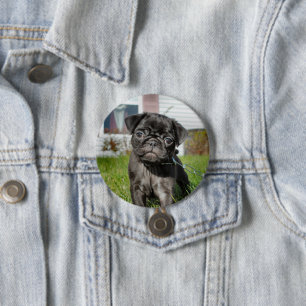 bLACK PUG PUPPY  3 Inch Round Button