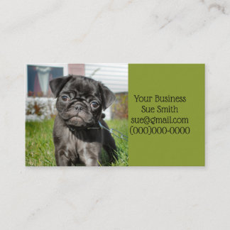 Black pug puppy business card