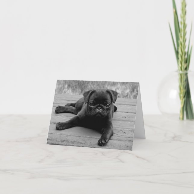 Black Pug Puppy Dog Blank Note Card (Front)