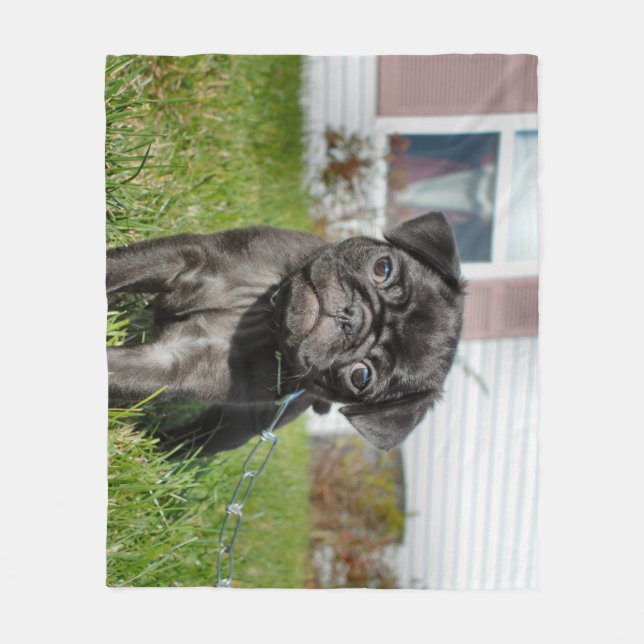 Black pug puppy  fleece blanket (Front)