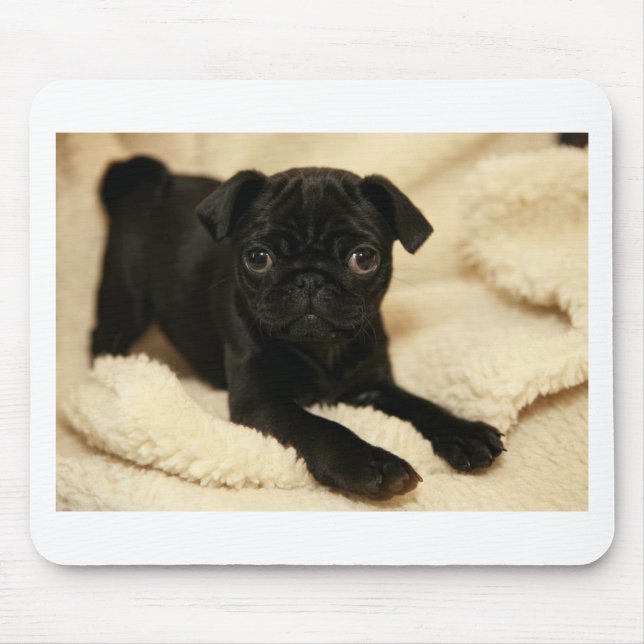 Black Pug Puppy Mouse Pad (Front)