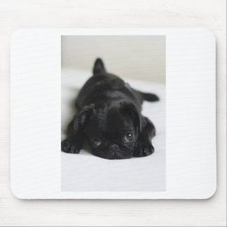 Black Pug Puppy Mouse Pad
