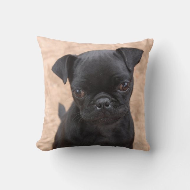 Black pug puppy pillow (Front)