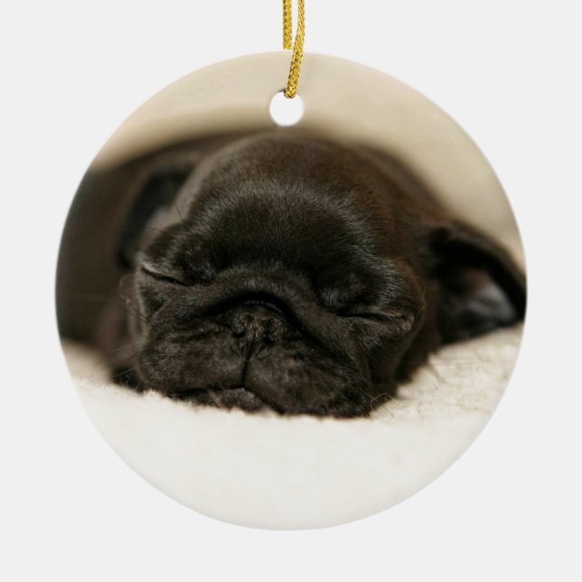 Black Pug Puppy Sleeping Ceramic Ornament (Front)