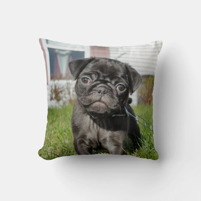 Black pug puppy  throw pillow (Front)