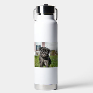 Black Pug Puppy Water Bottle