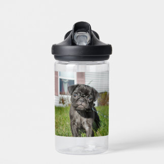 Black Pug Puppy Water Bottle