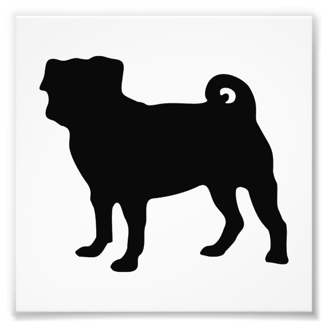 Black Pug Silhouette - Simple Vector Design Photo Print (Front)