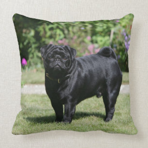 Black Pug Standing Looking at Camera Throw Pillow