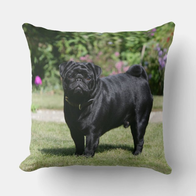 Black Pug Standing Looking at Camera Throw Pillow (Front)