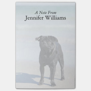 Black Pug Standing On The Beach Post-it Notes