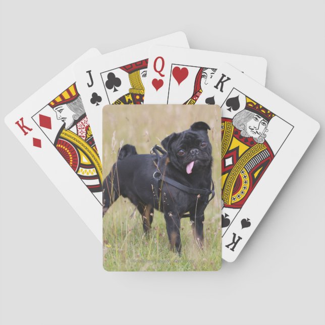 Black Pug Sticking Out Tounge Playing Cards (Back)