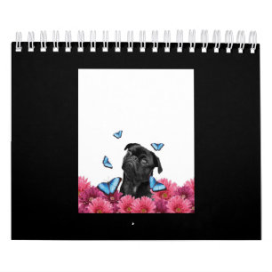 Black Pug With Blue Butterflies And Gerberas Calendar