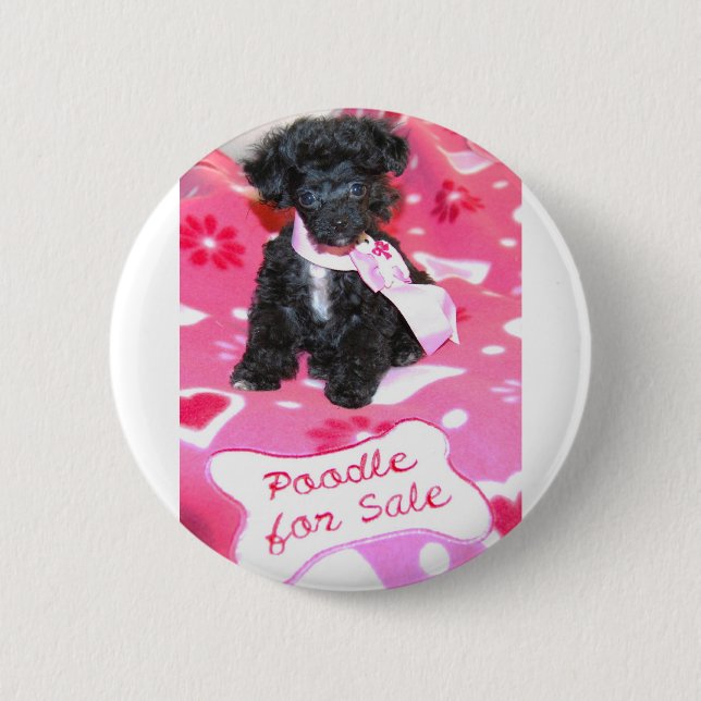 Black Puppy Poodle for Sale 2 Inch Round Button (Front)