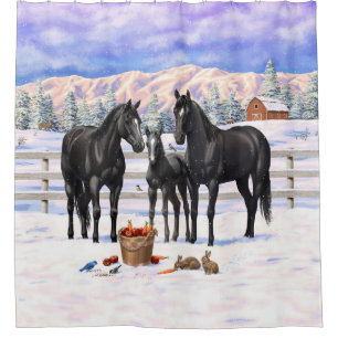 Black Quarter Horses In Snow