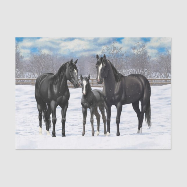 Black Quarter Horses In Snow Tissue Paper (Front)