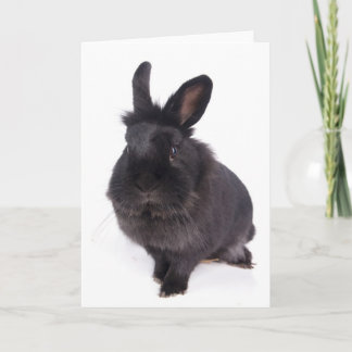 black rabbit card