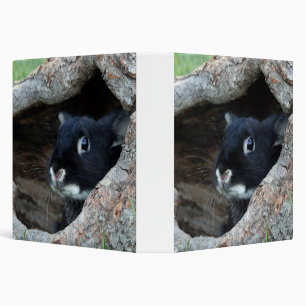 Black Rabbit in Hollow of a Tree Binder