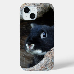 Black Rabbit in Hollow of a Tree iPhone 15 Case