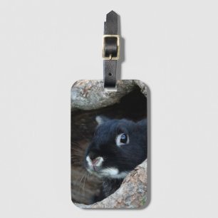 Black Rabbit in Hollow of a Tree Luggage Tag