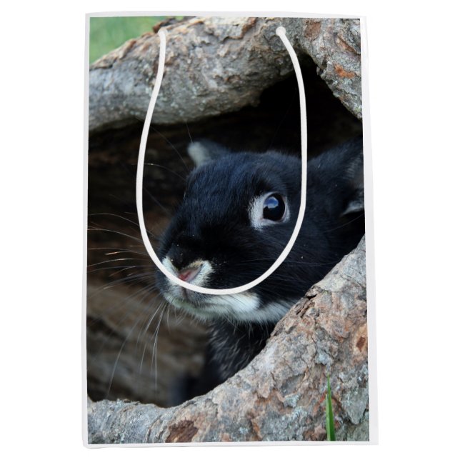 Black Rabbit in Hollow of a Tree Medium Gift Bag (Front)