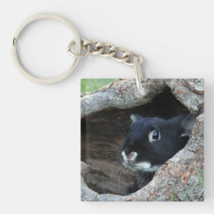 Black Rabbit in Hollow of a Tree Photo Keychain