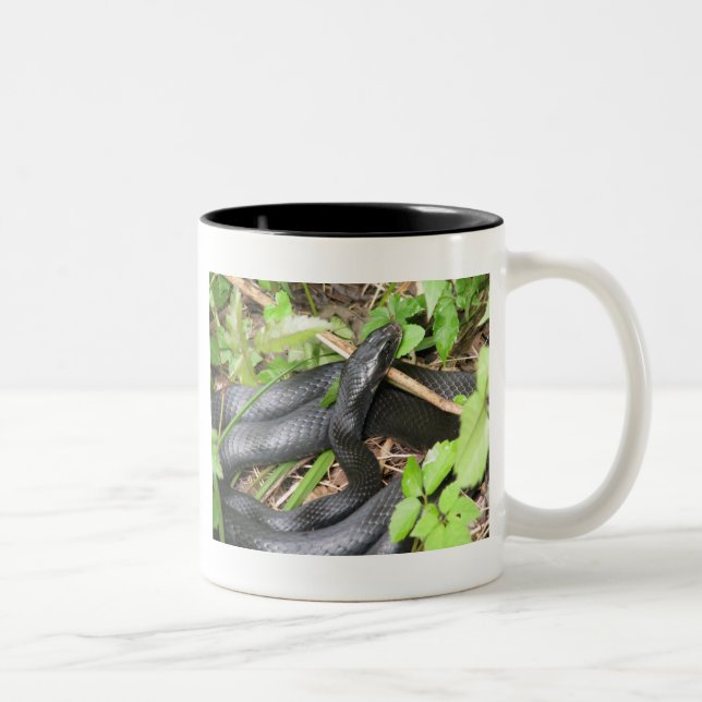 Black Racer Snake Sunning Two-Tone Coffee Mug (Right)