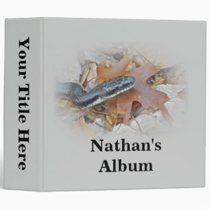 Black Rat Snake - Elaphe obsoleta obsoleta Binder