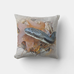 Black Rat Snake - Elaphe obsoleta obsoleta Throw Pillow